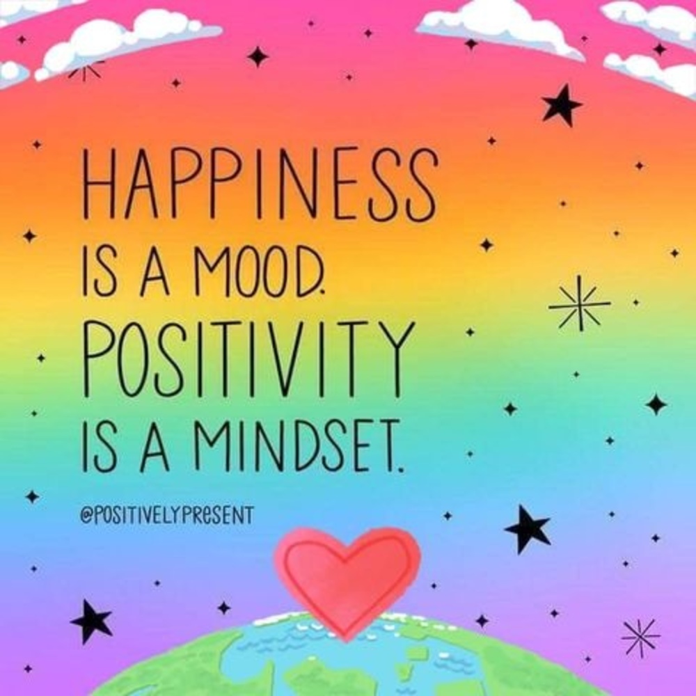 Meet your Posher, Dorothy